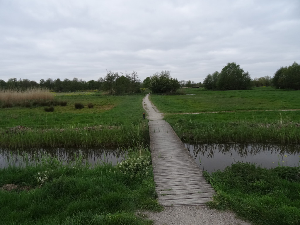 Wandelpad_Woudhoek