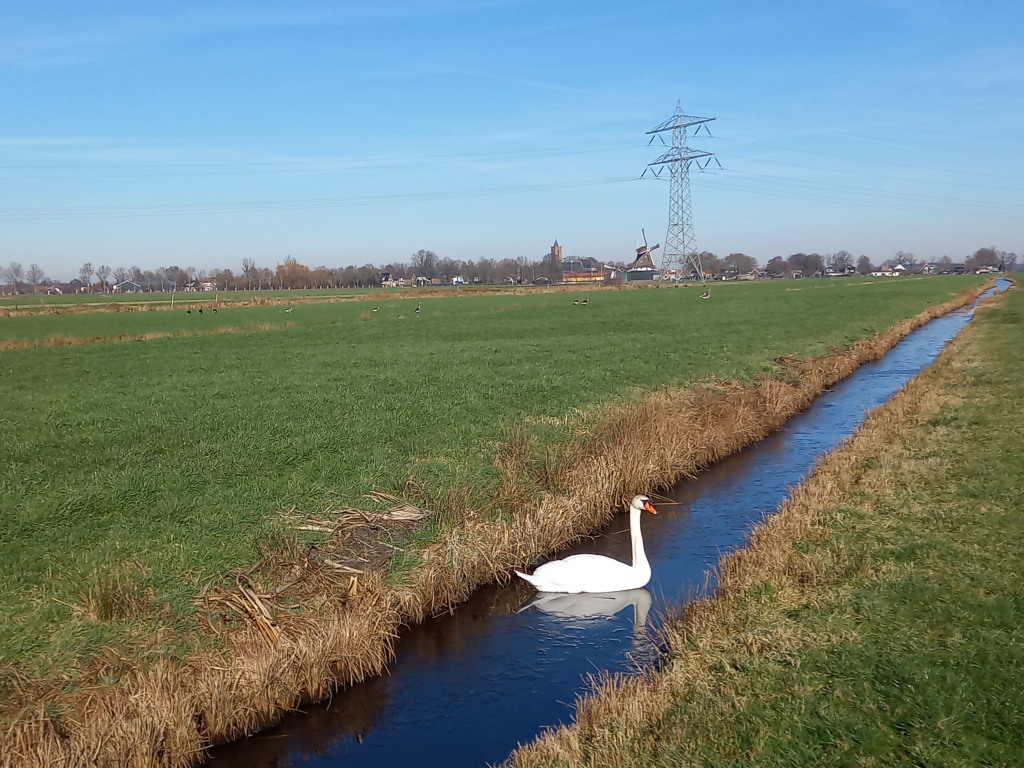 Zicht_op_Westbroek